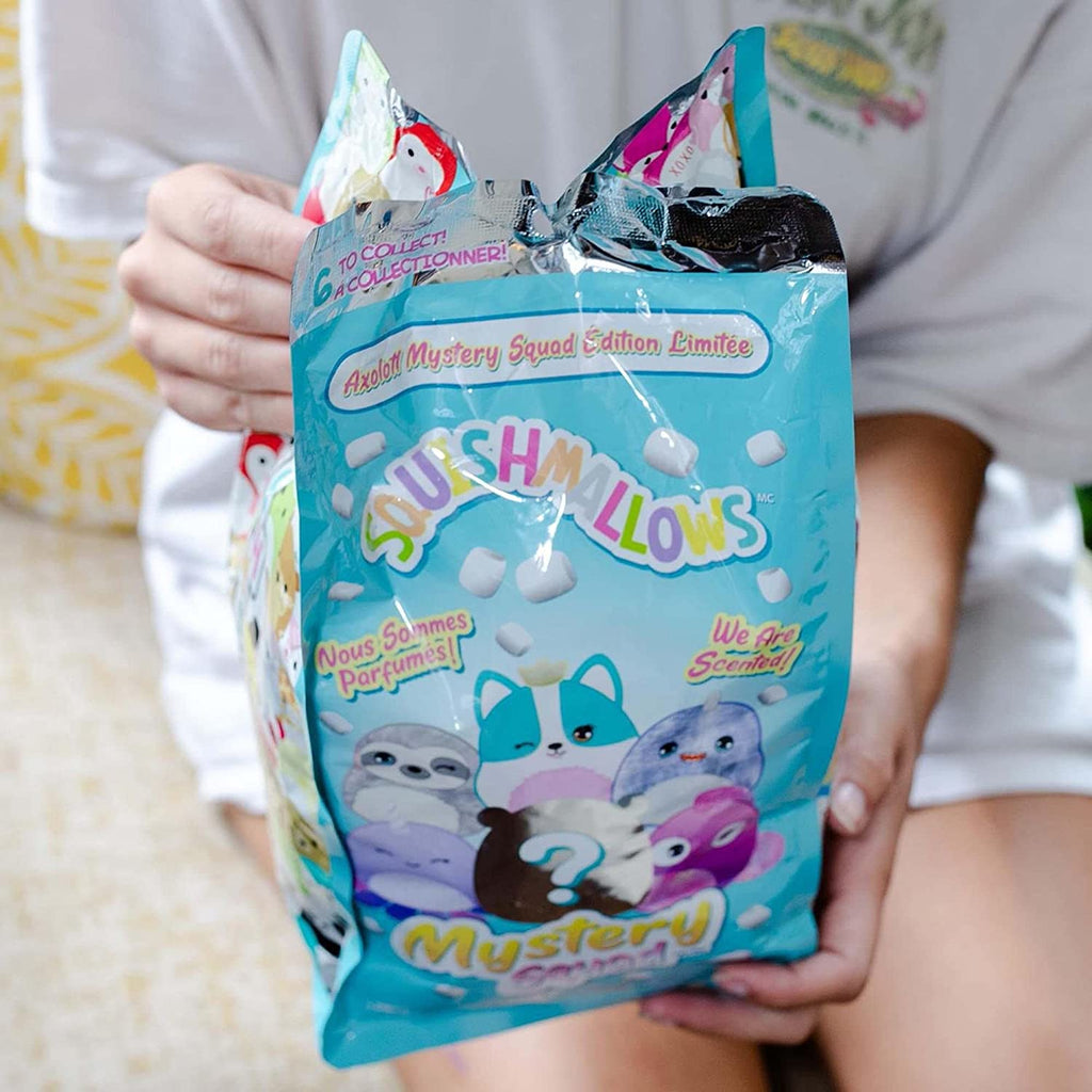 Squishmallows Limited Edition Mystery Squad Series 1 8in Scented Mystery Plush
