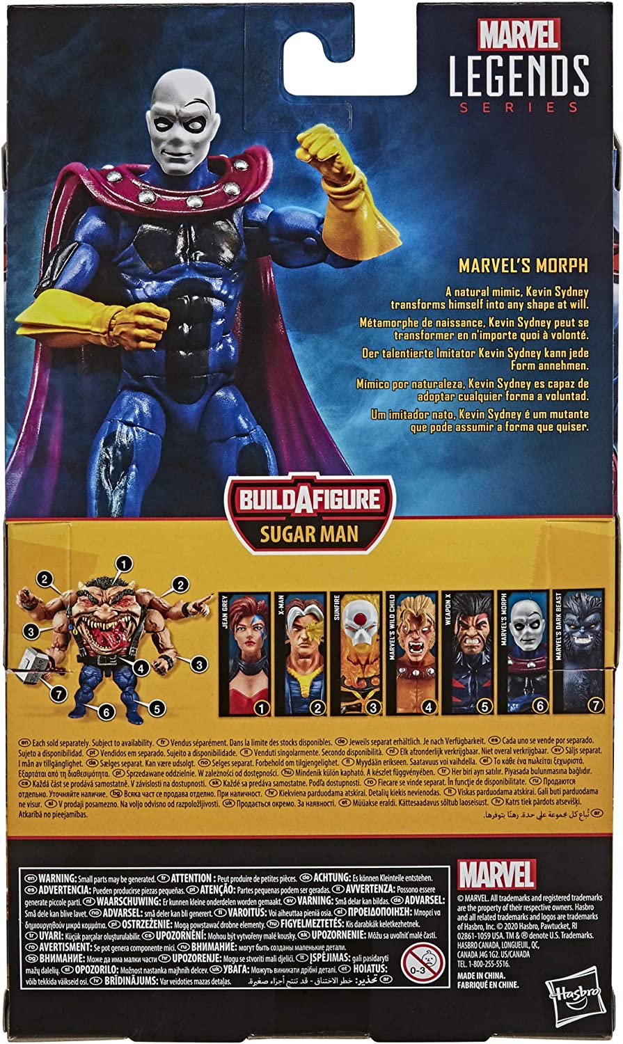 Hasbro - Marvel X-Men: Age of Apocalypse - Morph - Marvel Legends Action Figure
