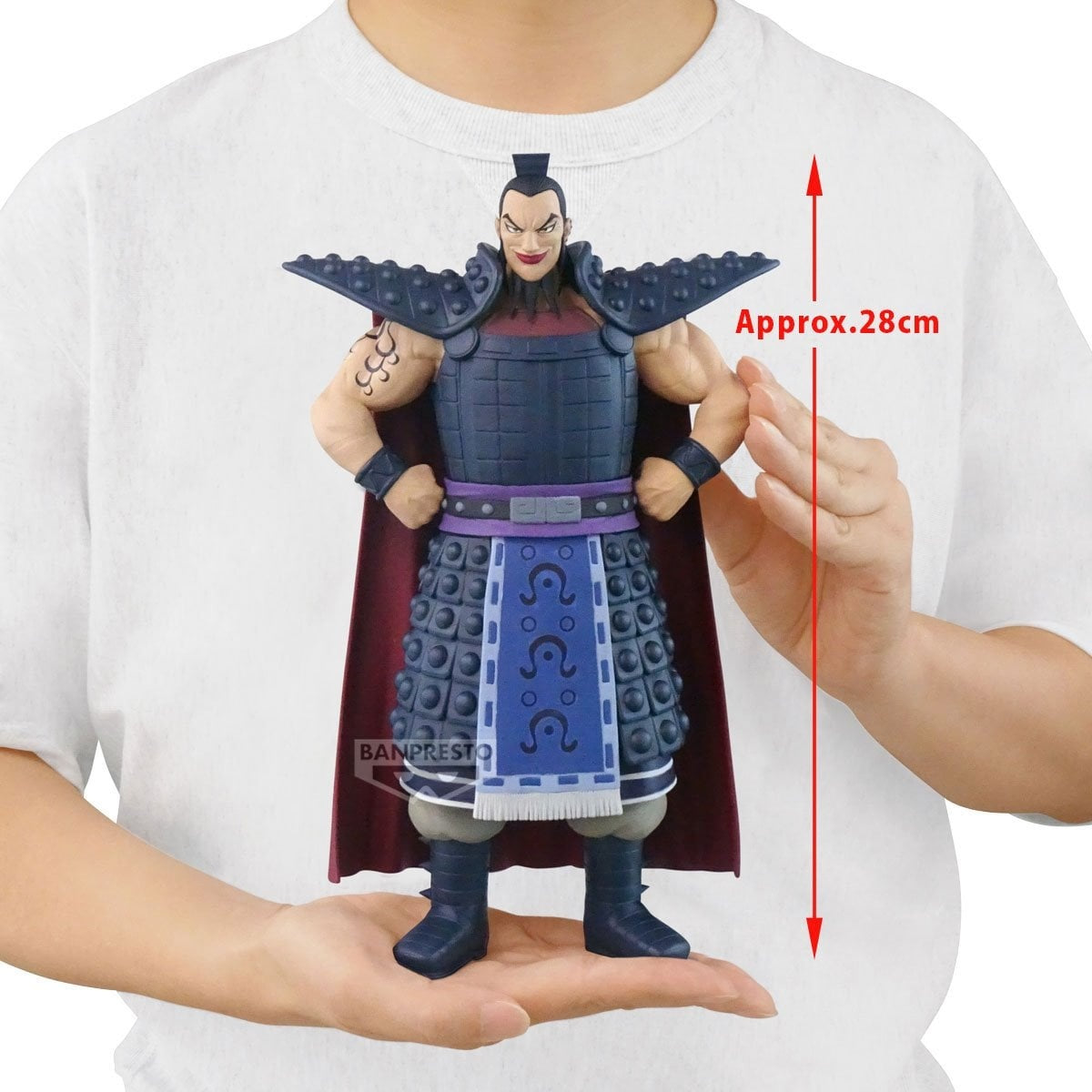 Banpresto - Kingdom - Ou Ki - Grandista Figure
