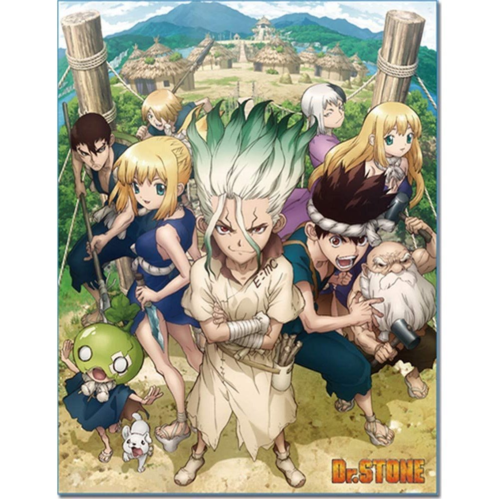 Dr. Stone Anime Key Art Sublimation Throw Blanket - Fundom