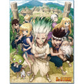 Dr. Stone Anime Key Art Sublimation Throw Blanket - Fundom