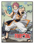 Fairy Tail Natsu & Happy Anime Fleece Throw Blanket - Fundom