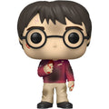 Funko Pop! Harry Potter 20th Anniversary - Harry with the Stone 132 - Fundom