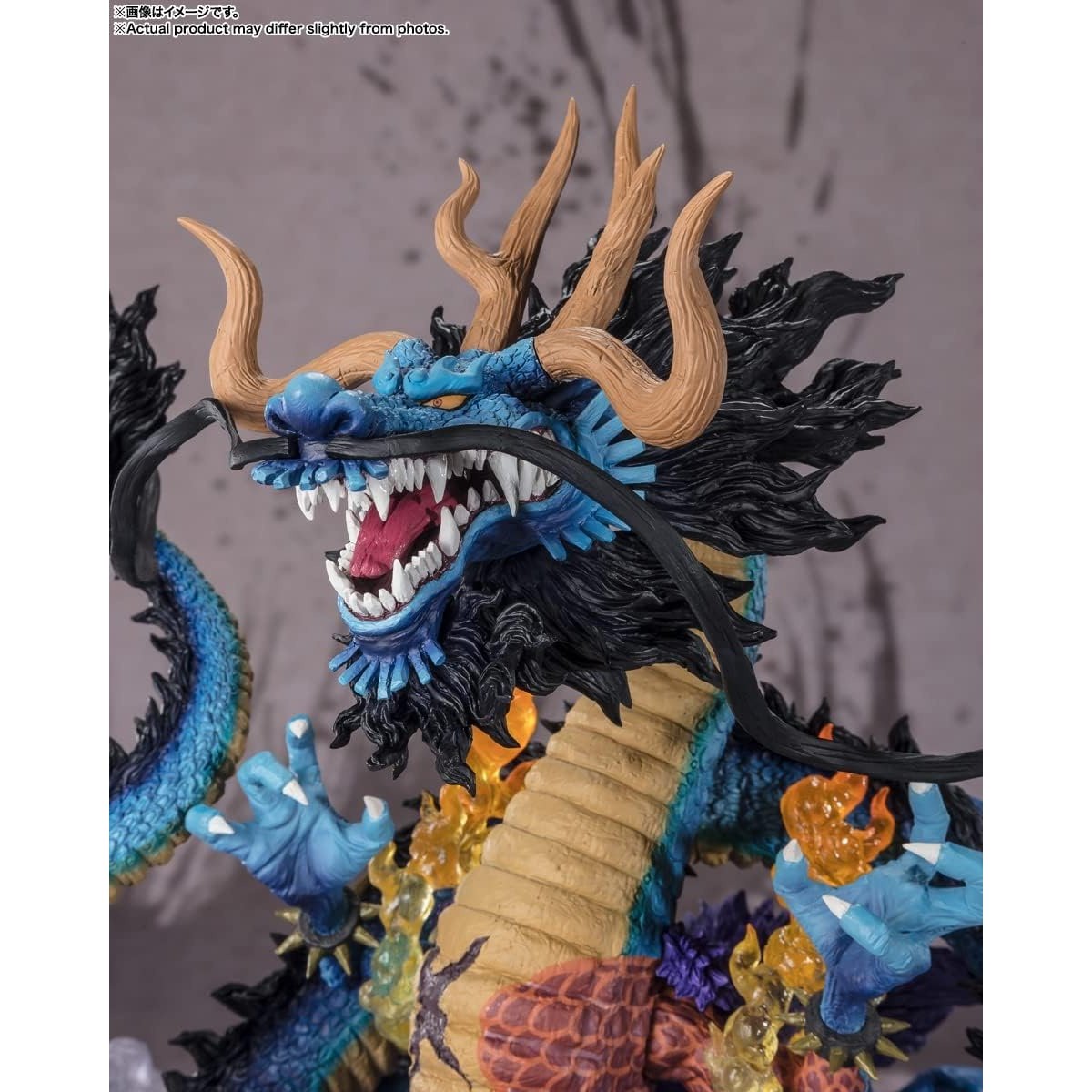 Amazon.com: TAMASHII NATIONS - One Piece - [Extra Battle